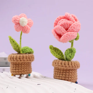 Beginner Crochet Kit - 6pcs DIY Potted Flower Set with Video Tutorial, Cotton Yarn, Needles, Hooks & Knitting Tools