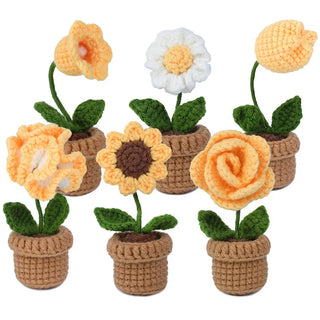 Beginner Crochet Kit - 6pcs DIY Potted Flower Set with Video Tutorial, Cotton Yarn, Needles, Hooks & Knitting Tools