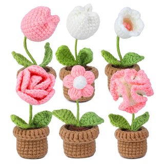 Beginner Crochet Kit - 6pcs DIY Potted Flower Set with Video Tutorial, Cotton Yarn, Needles, Hooks & Knitting Tools