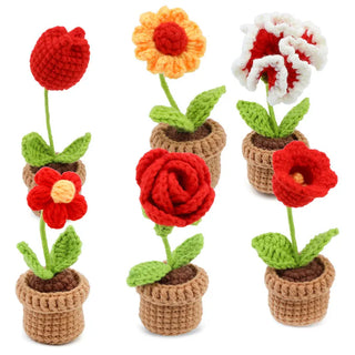 Beginner Crochet Kit - 6pcs DIY Potted Flower Set with Video Tutorial, Cotton Yarn, Needles, Hooks & Knitting Tools